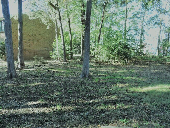 Building Photo - 8807_HUNTER_RIDGE