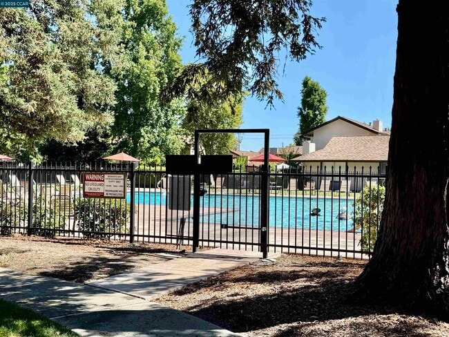 Building Photo - 1564 Candelero Dr