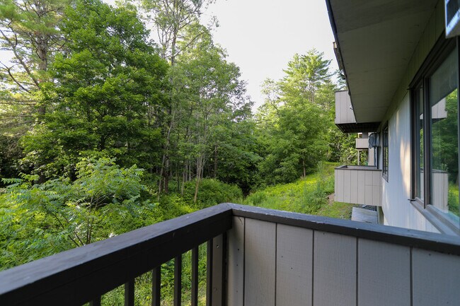 Building Photo - 111 Brook Hollow