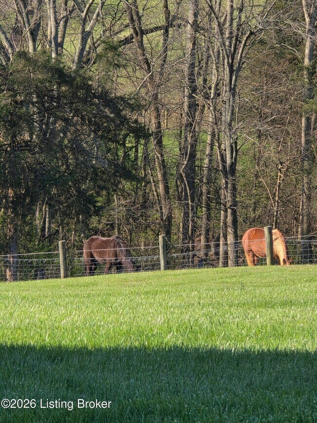 Building Photo - 2728 Taylorsville Rd