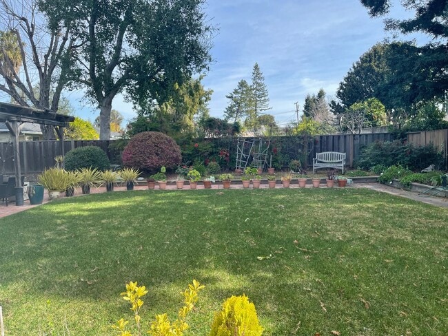 Building Photo - Spacious Los Altos home, walk to highly rated Los Altos schools! Cul de sac location,  big back y...