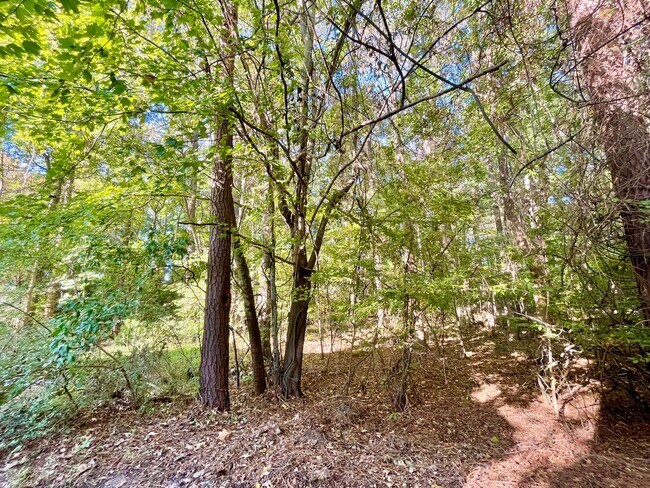 Building Photo - Spacious 4 Bedroom Home on Cul-de-sac in Castleton Virginia Beach!