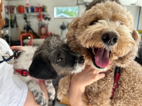 Building Photo - 405 S Hine Ave