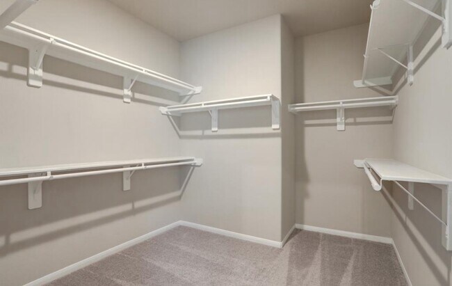 Building Photo - 13006 Oleander Bay Ln