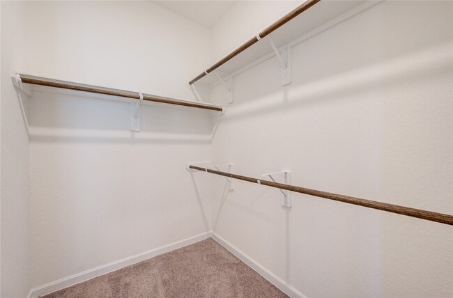 Building Photo - 3310 Driftwood Meadow Ln