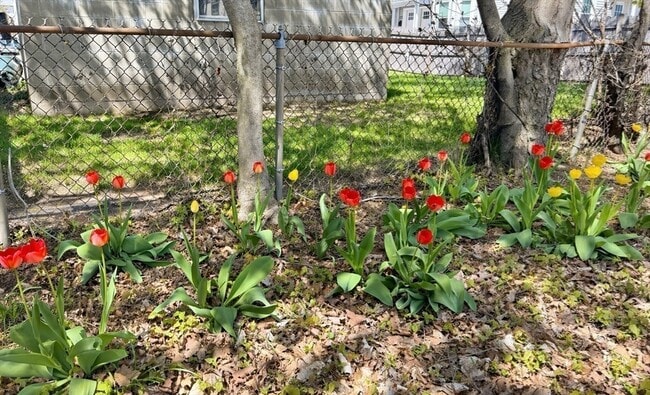 Building Photo - 86 Howard St