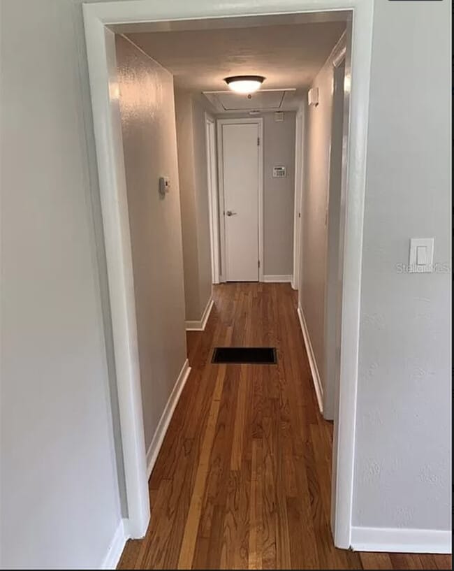 Building Photo - South Tampa Rental