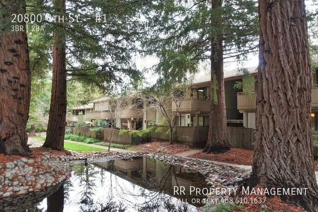 Primary Photo - 20800 4th St