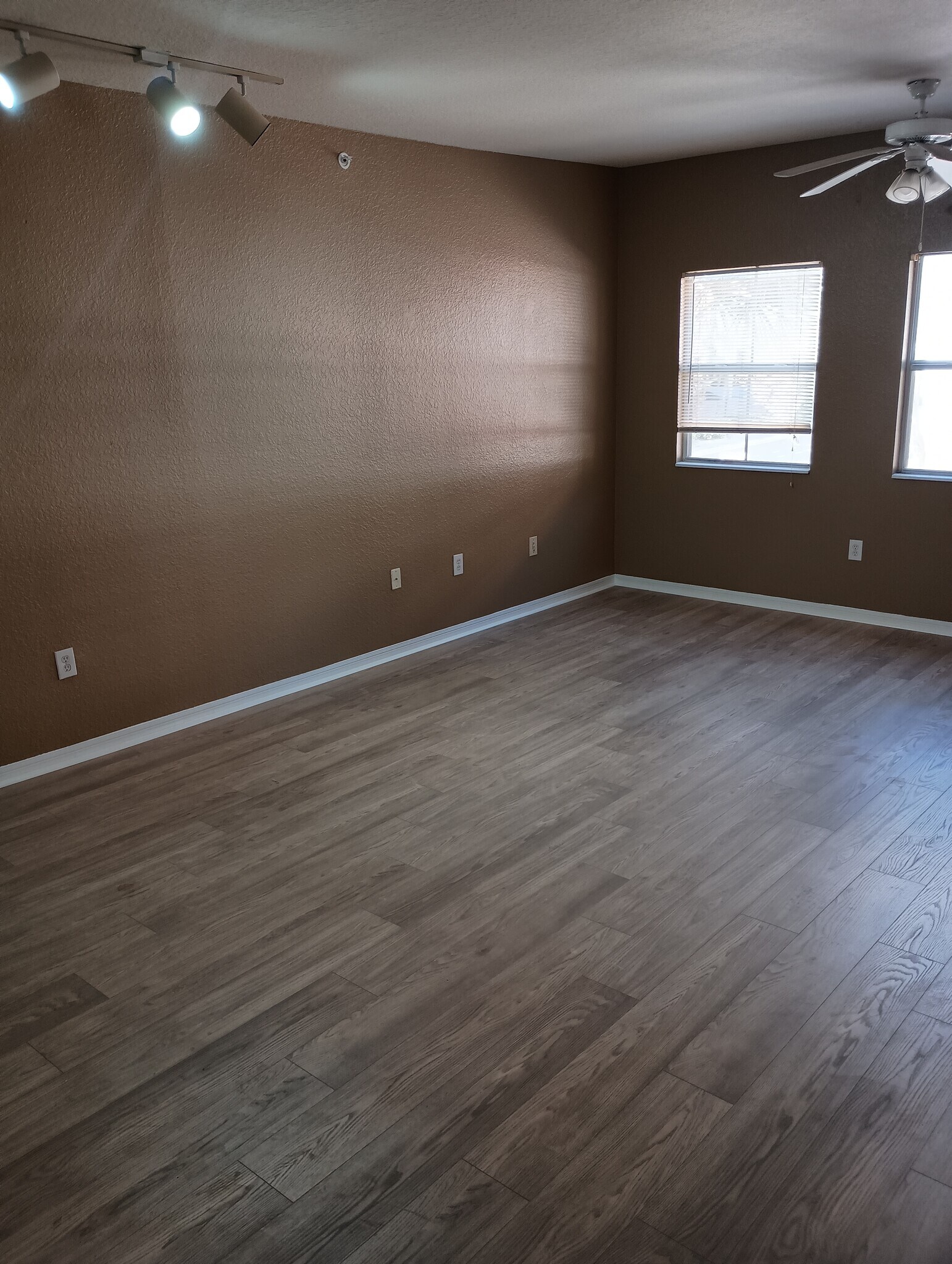 Living room - 402 S Armenia Ave