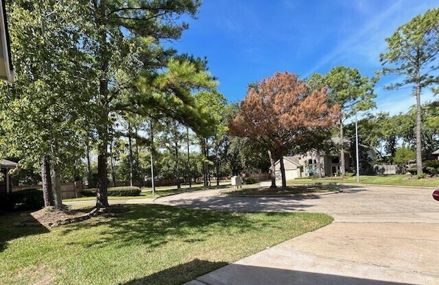 Building Photo - 18135 Somerset Knolls Ct