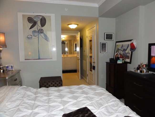 Spacious bedroom - 851 N Glebe Rd