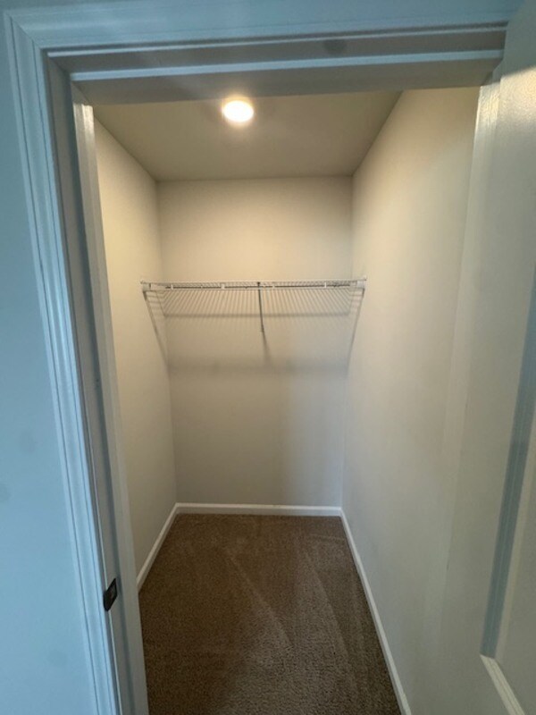 Building Photo - 204 Wild Strawberry Ln