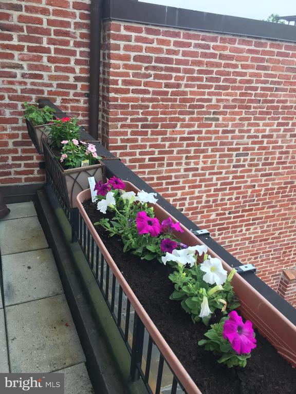 Building Photo - 2125 S St NW