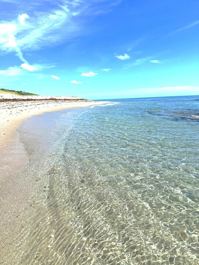 Building Photo - 5540 N Ocean Dr