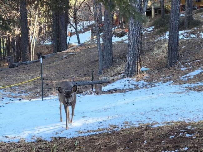 Building Photo - 308-310 Brady Canyon Rd