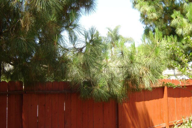 Building Photo - Spacious single-level home located on a quiet corner lot in a well-established Oceanside neighbor...