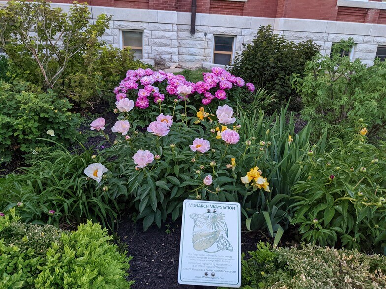 Pretty areas to walk around the courthouse next door. - 114 S Pearl St