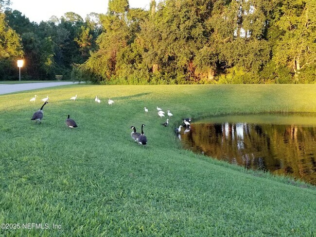 Building Photo - 237 N Hidden Tree Dr