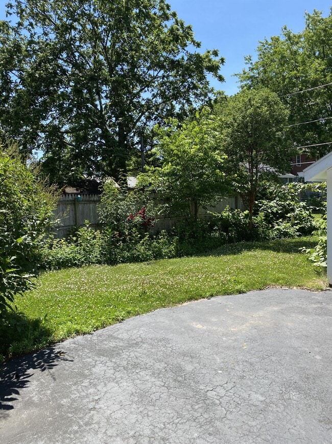 Building Photo - 41 Mildorf St