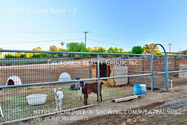 Building Photo - 33981 Gloria Rd