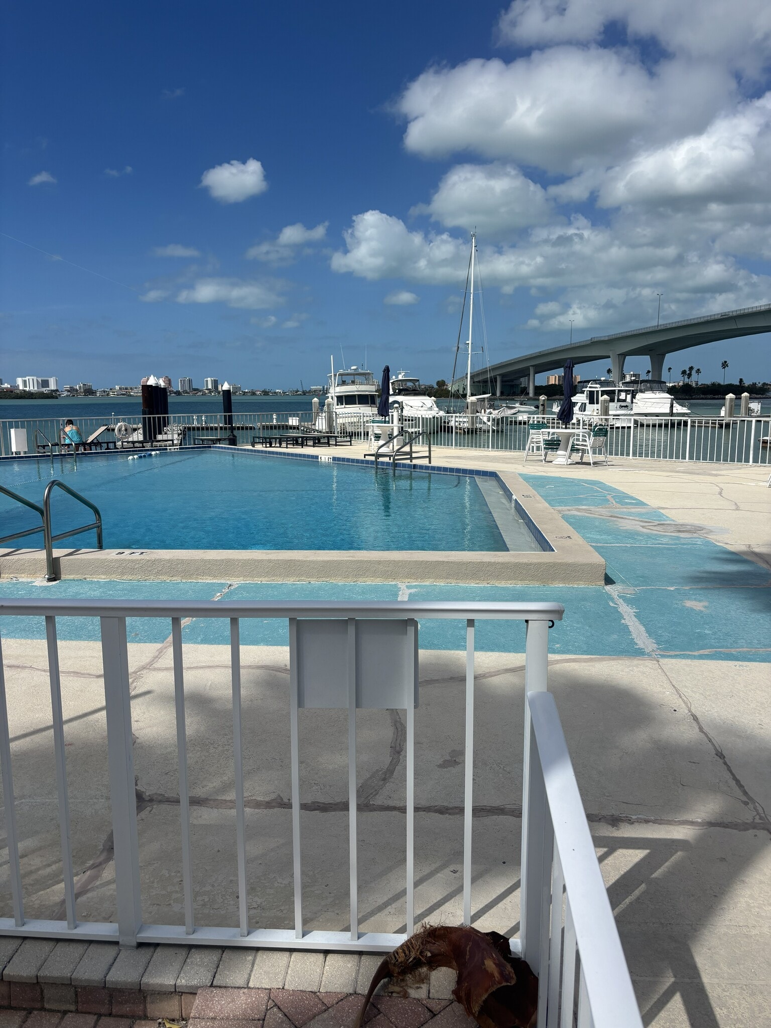 pool - 100 Pierce St