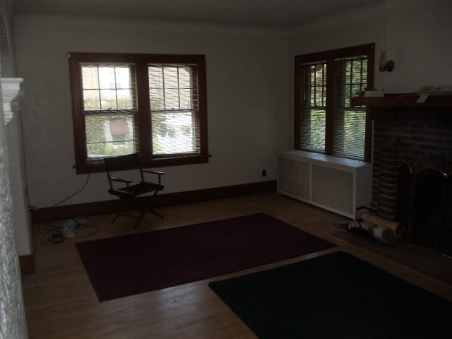 LIVING ROOM - 832 Paris Ave