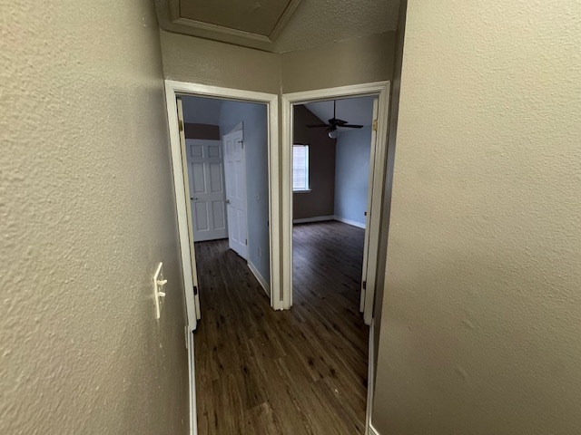 Building Photo - 2004 Greenpoint Dr