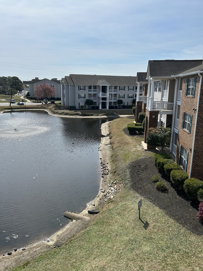 Building Photo - 3792 Hitchcock Way