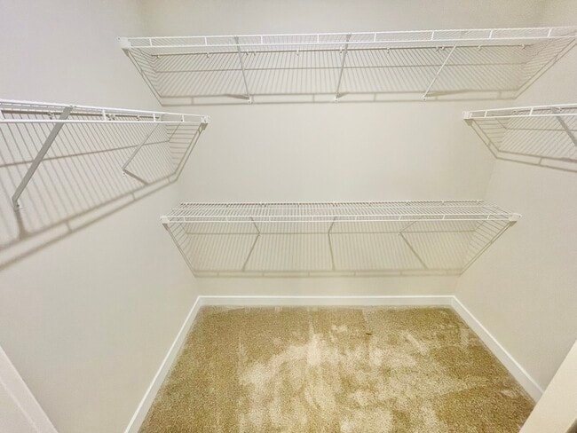 Building Photo - 3206 Coquina Ln