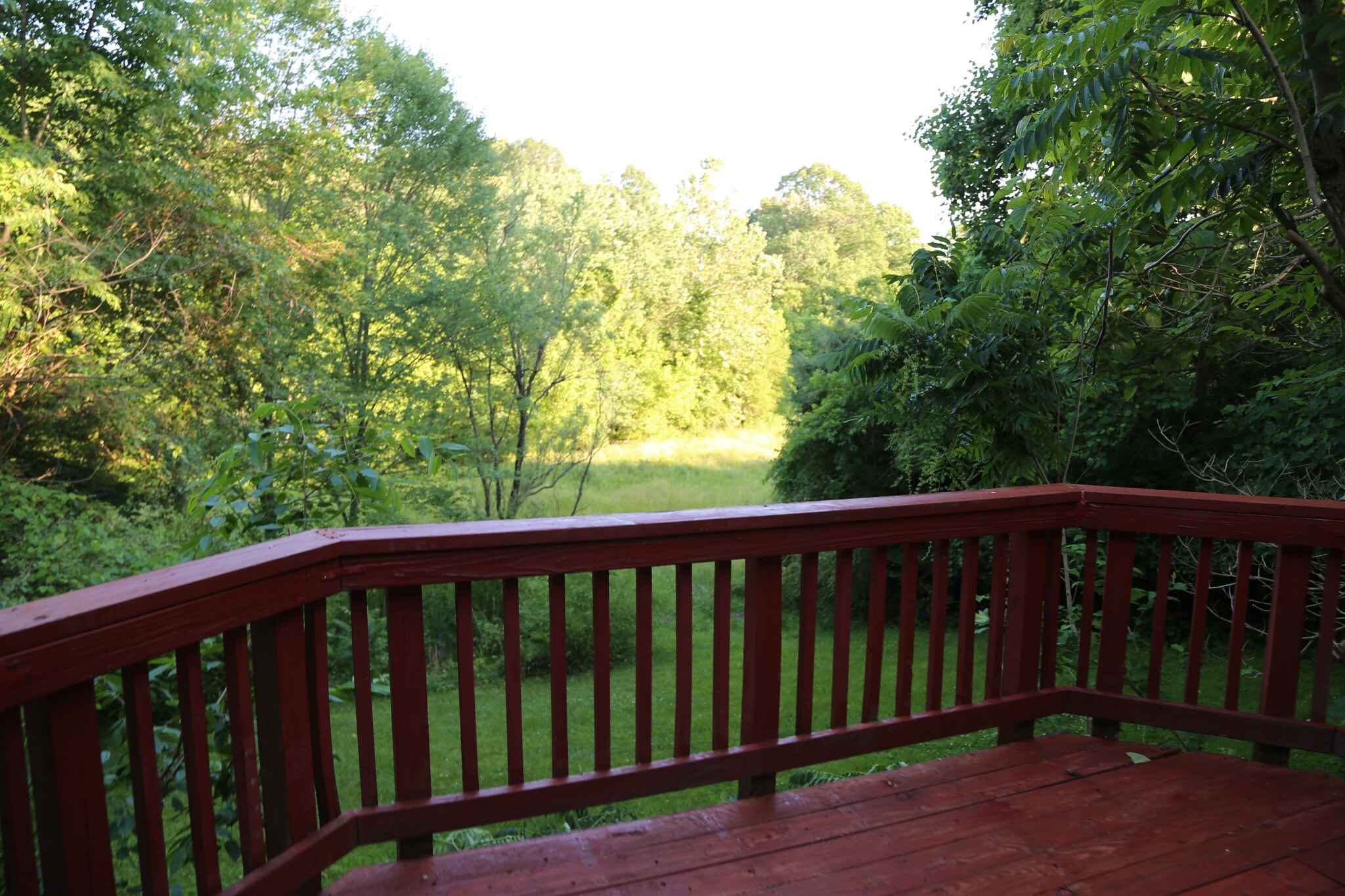 Deck - 12945 Pinecrest road