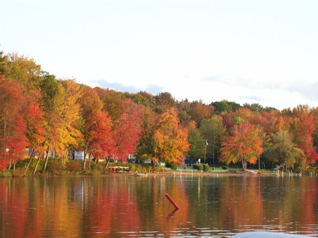 Building Photo - 80 Noyes Rd