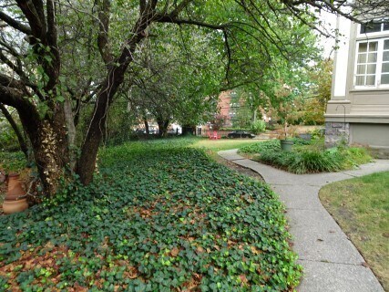 Building Photo - 45 College Ave SE