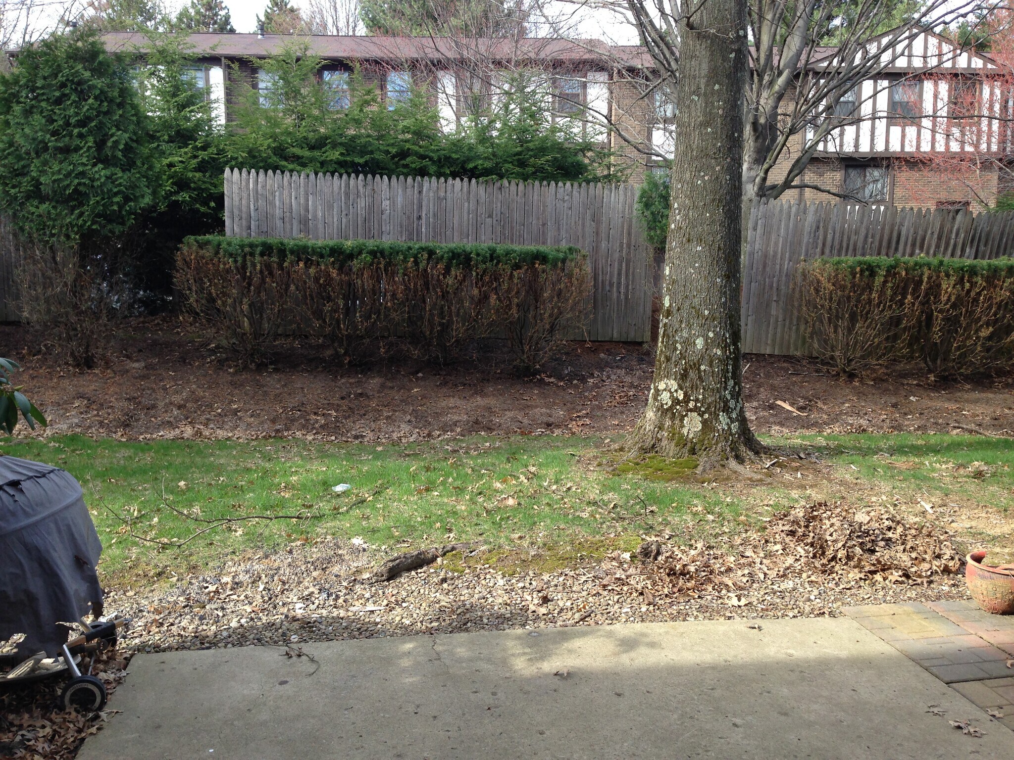 Building Photo - 1505 Harewood Sq