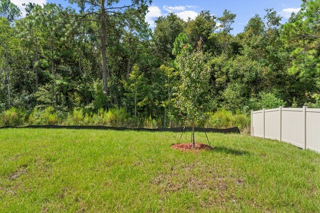 Building Photo - 353 Ardila Cir