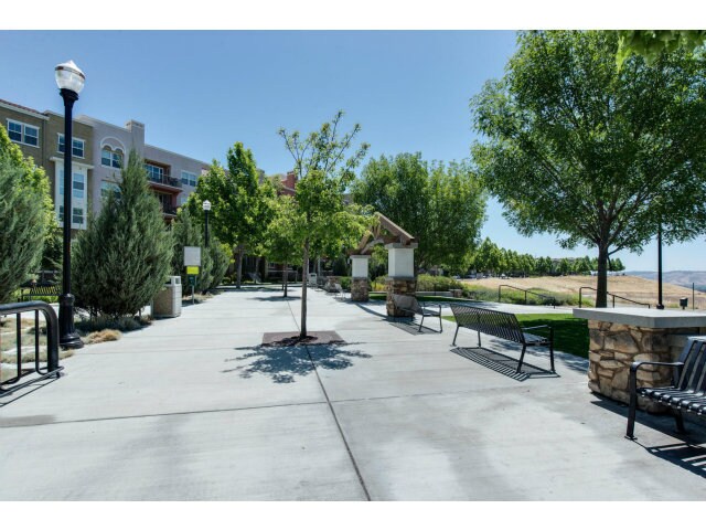 Building Photo - 557 Adeline Ave