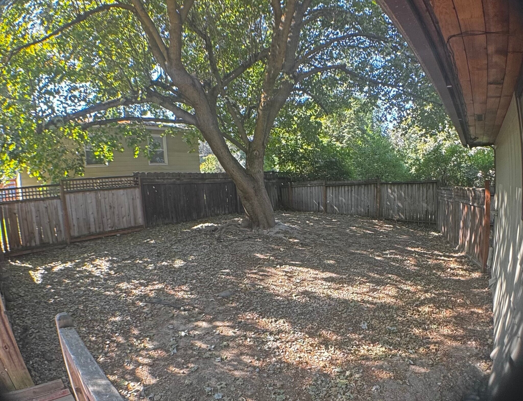 Fenced Backyard - 1118 E 14th Ave