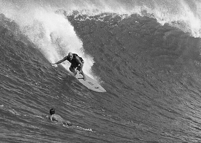 Building Photo - 3 Bed/2 Bath Laie Home with big yard and bonus space