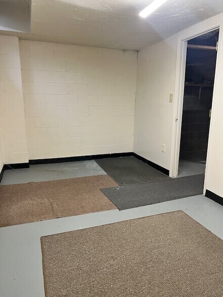 Room in Basement - 219 Lily Ct