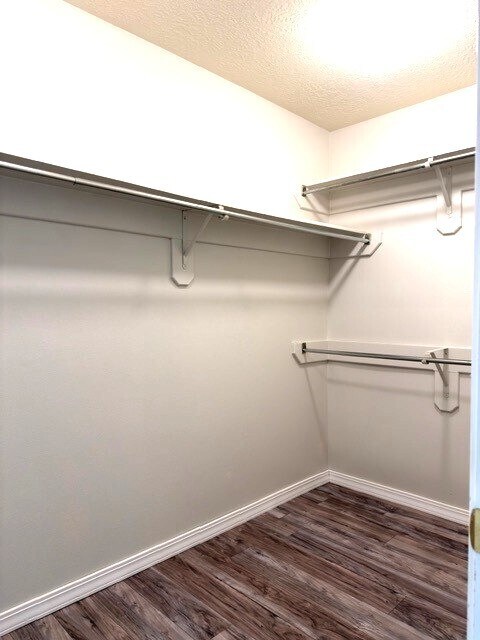 Building Photo - 7703 Hayward Ct