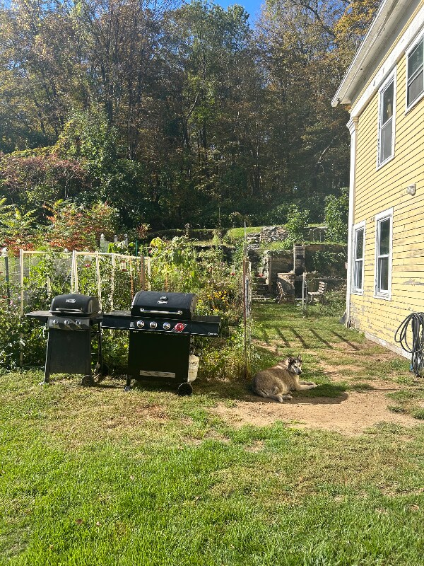 Building Photo - 30 Wall St