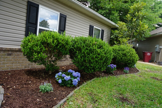 Building Photo - 212 Ladue Ave