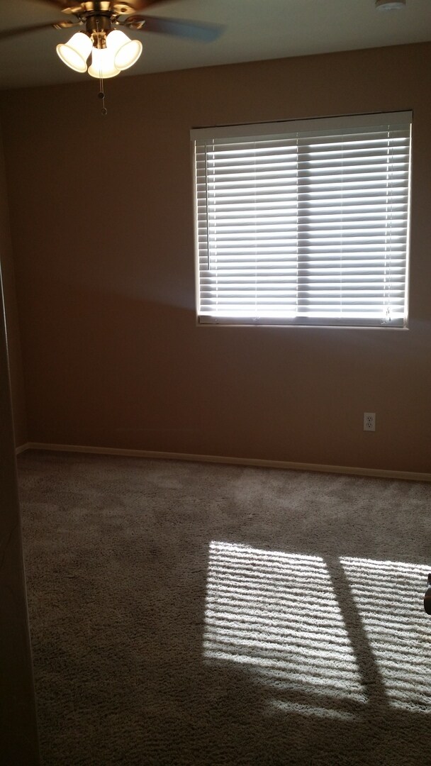 Building Photo - Rita Ranch Beauty ready for Move In Today! 4 bedroom 2 bath Home all Updated!