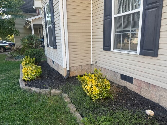 Building Photo - Beautiful Single Family Home