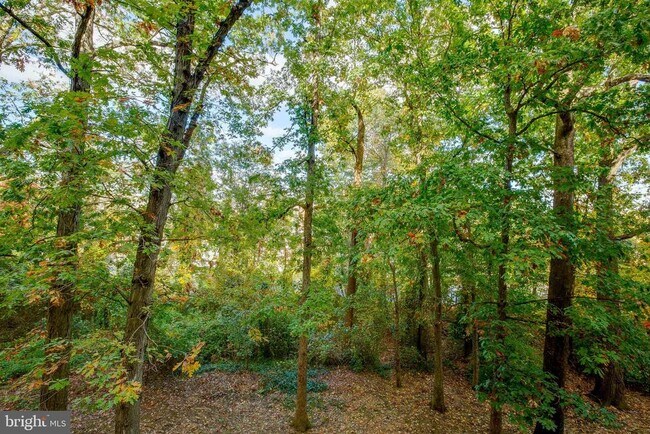 Building Photo - 8 S Van Dorn St