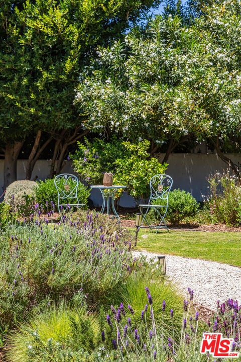 Building Photo - 6671 Dume Dr