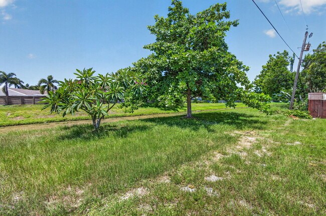 Building Photo - 3943 Roan Ct W