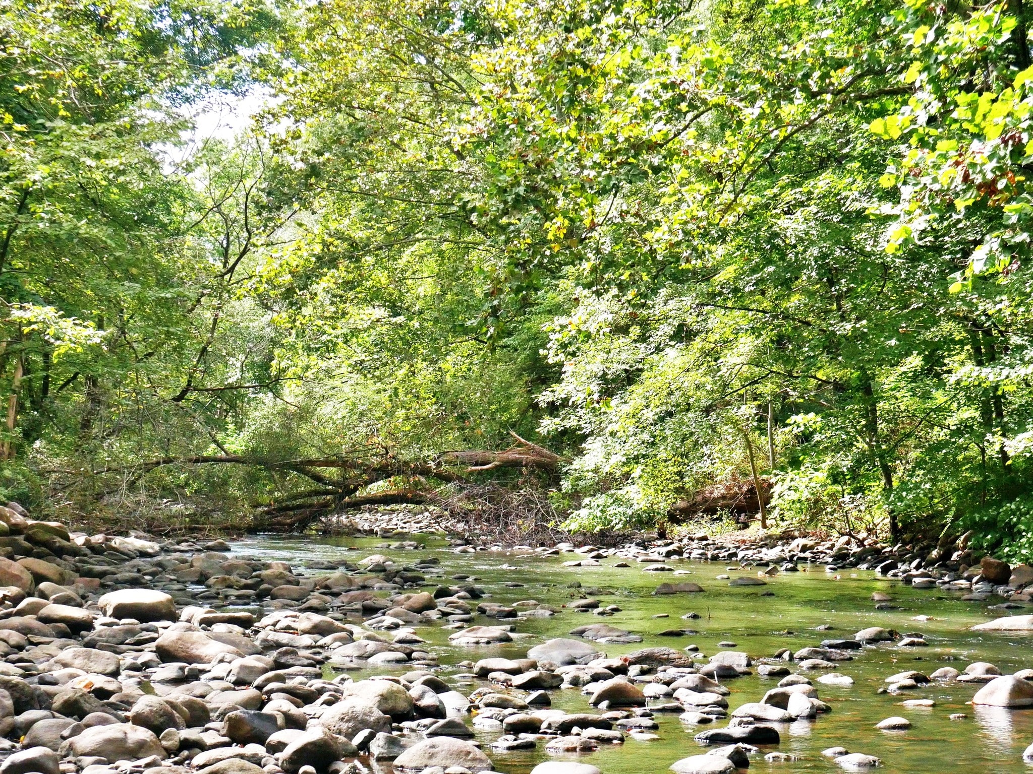 Building Photo - 62 Main St