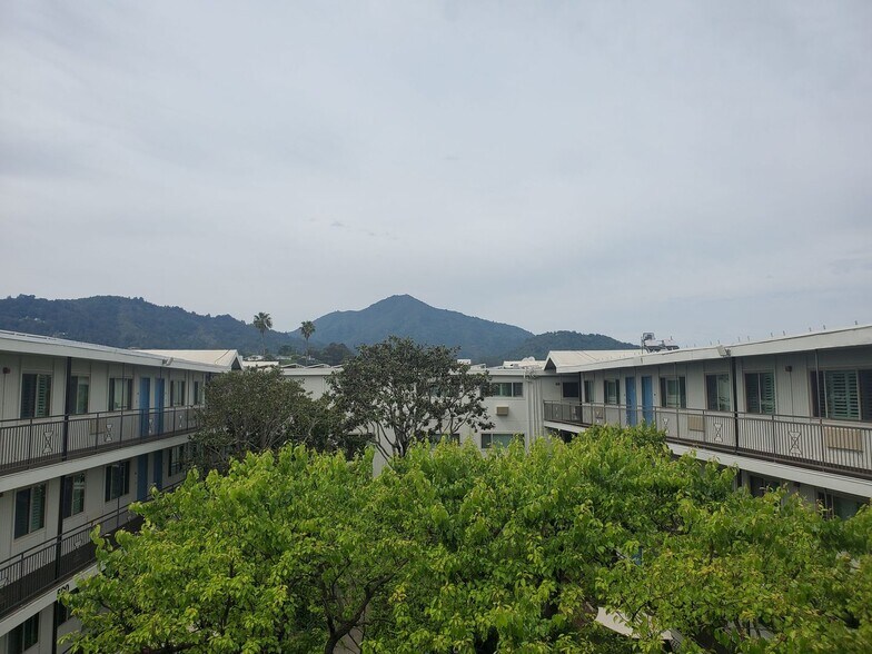 Interior Photo - Newly Renovated Corte Madera Two Bedroom with Pool, Elevator, AC