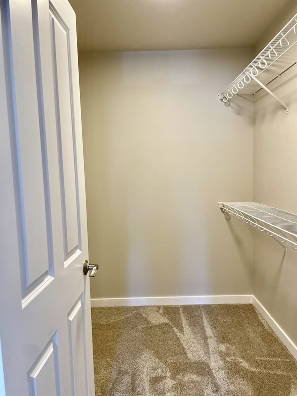 Building Photo - 1468 Foxtail St