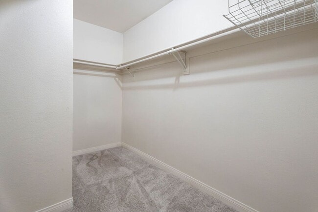 Building Photo - 8217 Diamond Star Ct